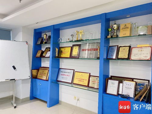 海南藍點獲評省級專精特新中小企業(yè)，軟件開發(fā)領域再添新動能