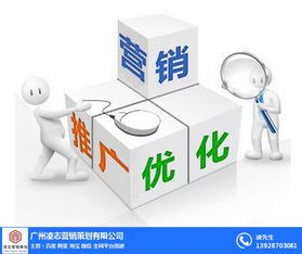 凌志營銷策劃 番禺區(qū)營銷型網(wǎng)頁建設與軟件開發(fā)，優(yōu)質商家首選