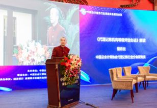 會(huì)計(jì)服務(wù)信用體系建設(shè) 信用中國官網(wǎng)的權(quán)威指引與實(shí)踐路徑