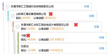 東營市新匯工程造價咨詢有限責任公司的專業(yè)工程造價咨詢服務